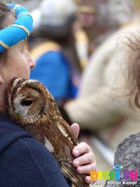 FZ013005 Woman with Tawny Owl (Strix aluco) on shoulder